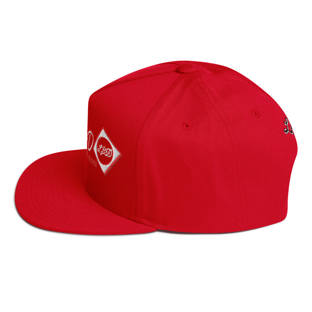 L3D_Flat Bill Cap